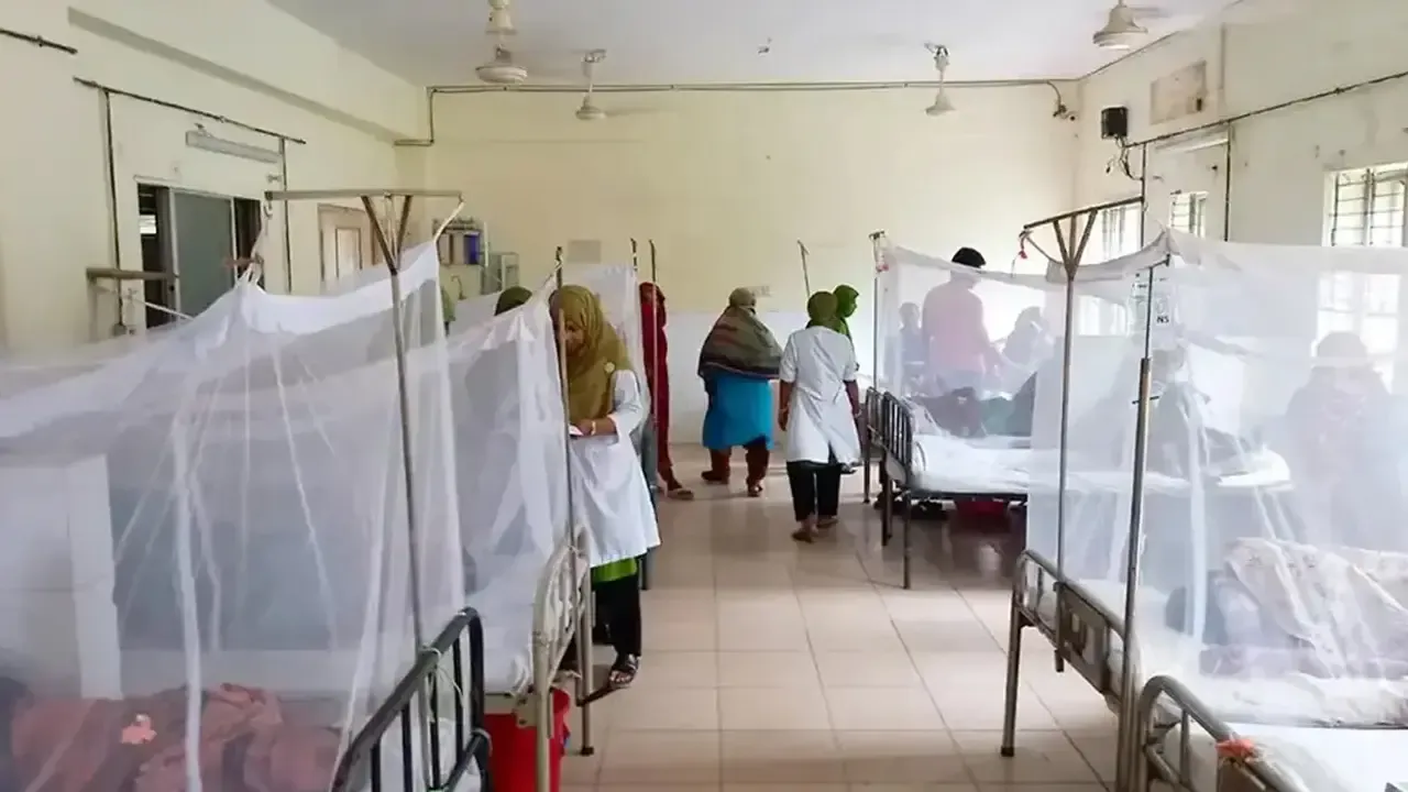 ডেঙ্গুতে আরও দুইজনের মৃত্যু, হাসপাতালে ৯৯৬