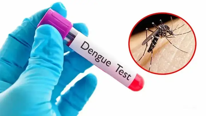 ডেঙ্গুতে আরও ৪ জনের মৃত্যু, হাসপাতালে ভর্তি ১১৮১