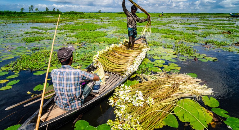 আড়িয়াল বিলের ৫ দেশি মাছে মিলল মাইক্রোপ্লাস্টিক, সবচেয়ে বেশি কইয়ে