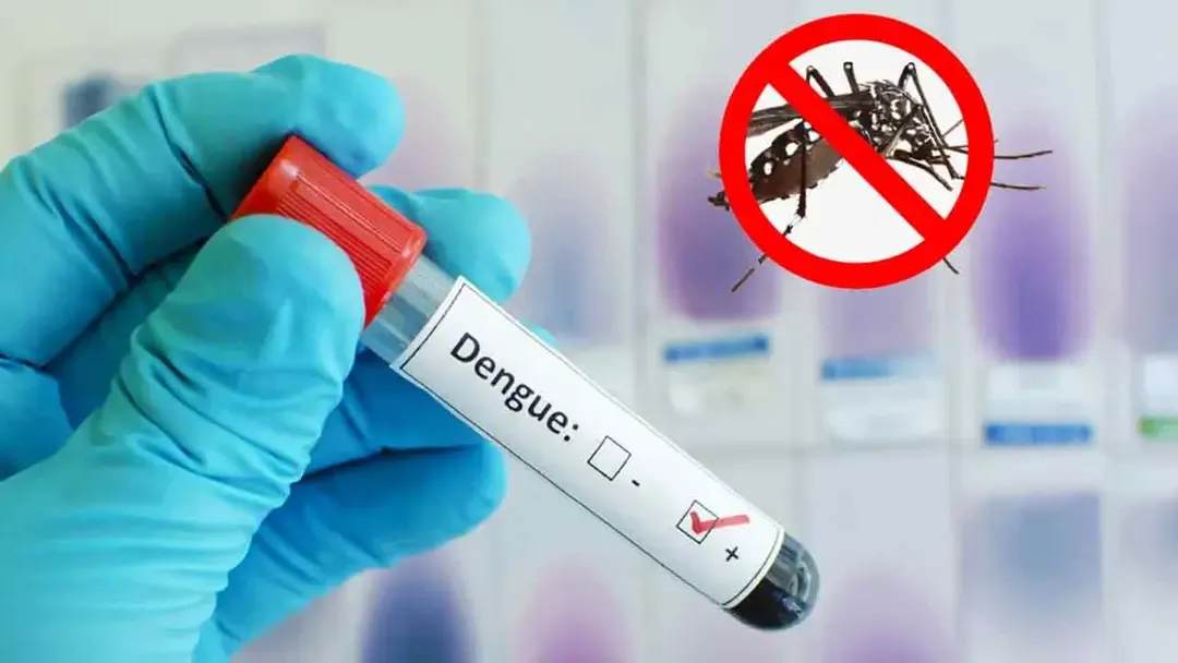 ডেঙ্গুতে একদিনে ৫ মৃত্যু, হাসপাতালে ভর্তি ৮৩৯