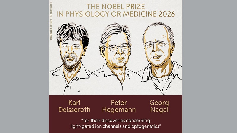 Three win the 2026 Nobel Prize in Medicine
