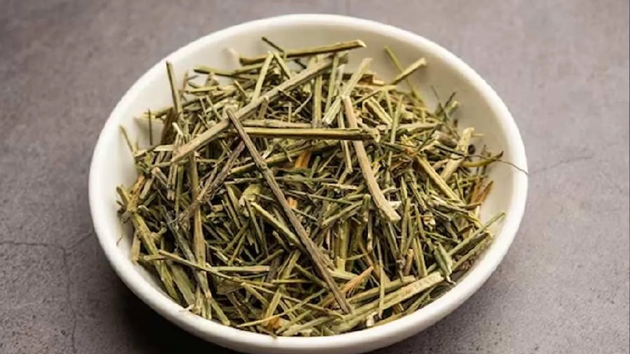 চিরতার সম্ভাব্য উপকারিতা কী, কীভাবে খাবেন