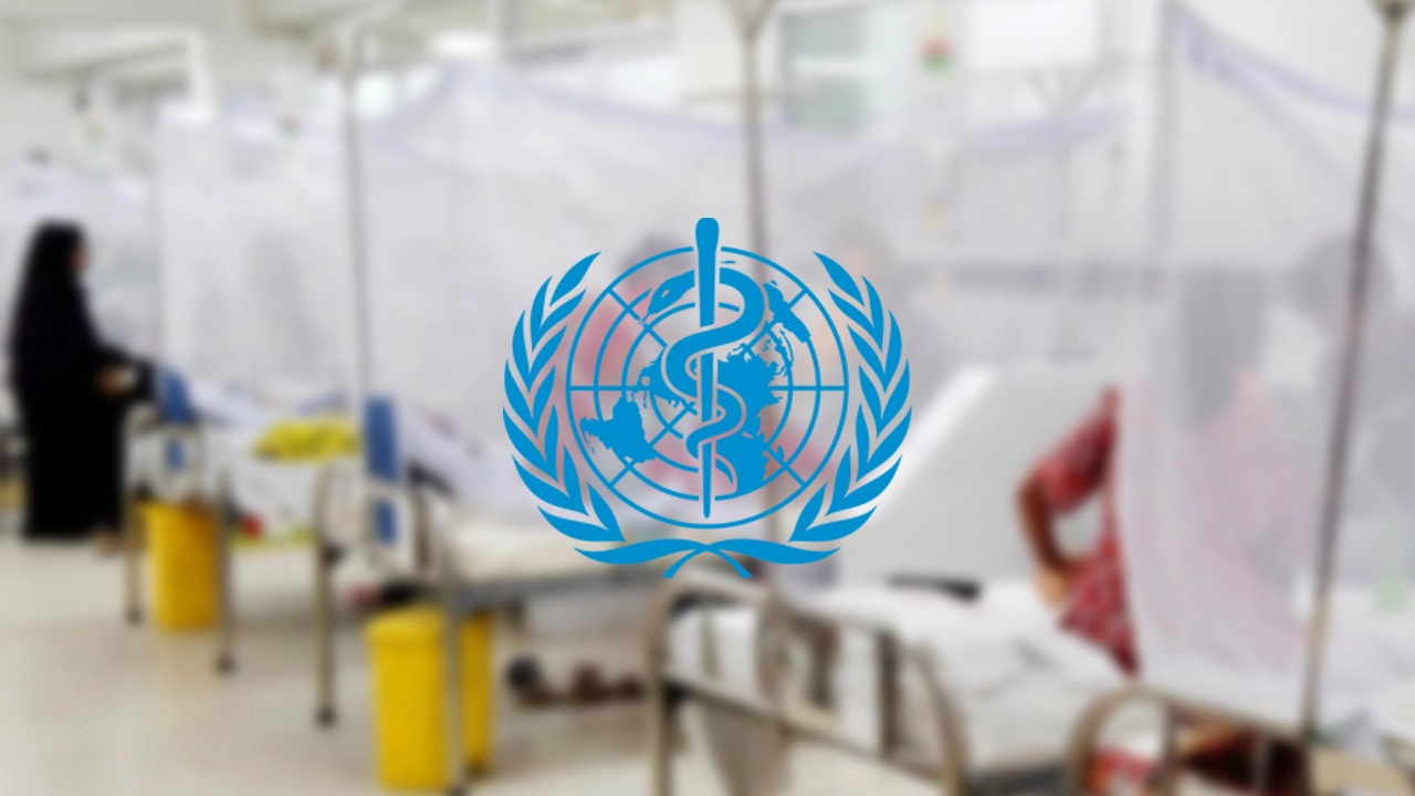 Dengue outbreak increasing worldwide, WHO warns