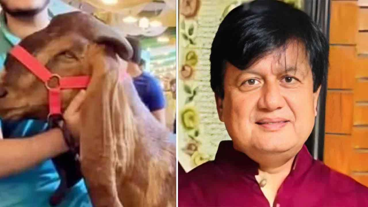 ‘ছাগলকাণ্ডে’ আলোচিত মতিউরের মামলায় শুনানি শেষ