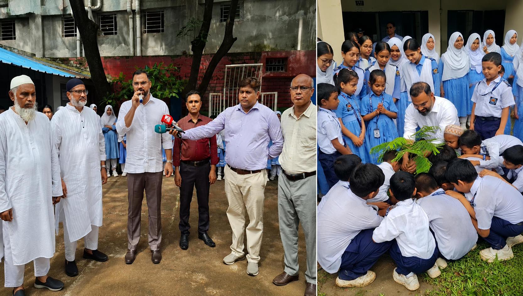 ক্রীড়া প্রতিমন্ত্রী আমিনুল হকের আহ্বান: বাড়িতে একটি করে গাছ লাগান