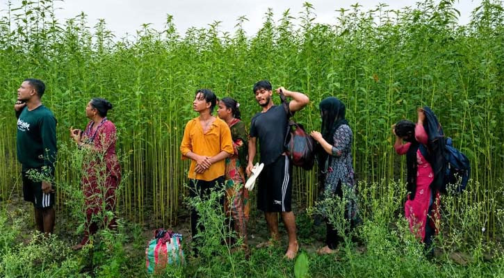 কুষ্টিয়া সীমান্তে ৮ জনকে পুশ-ইনের চেষ্টা, প্রতিহত করল বিজিবি