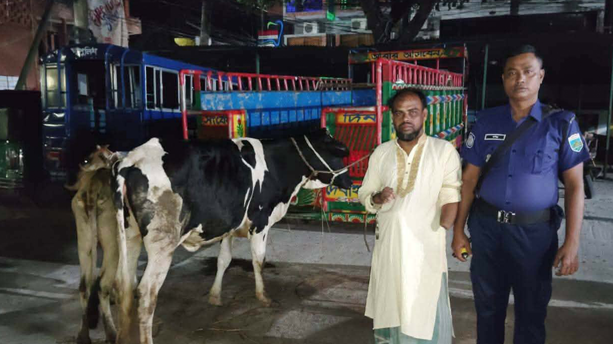 Stolen cattle farm found in underground of Jubo Dal worker's house in Pabna, 1 held