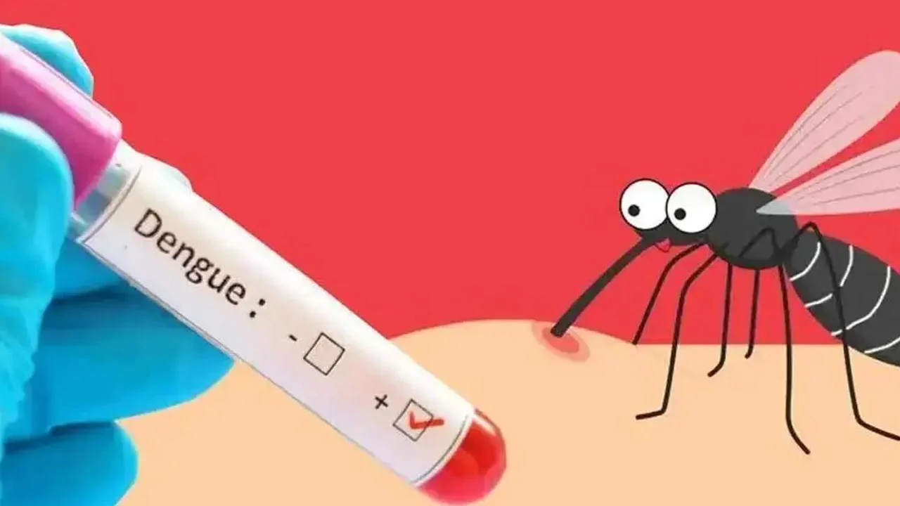 Seven die of dengue in a day, 1,593 hospitalized
